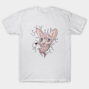 Sphynx Cat lover, funny ,kawai,cute T-Shirt